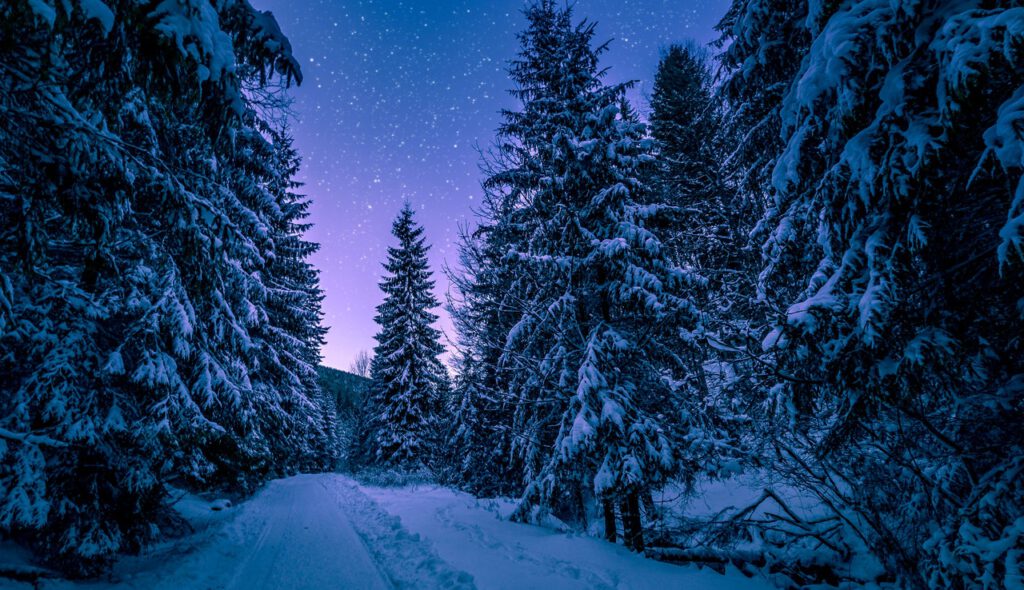 Winterdienst